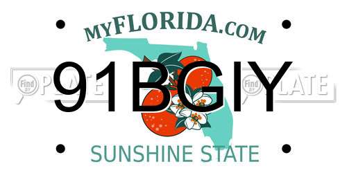 91BGIY Florida License Plate
