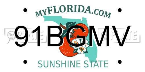 91BGMV Florida License Plate