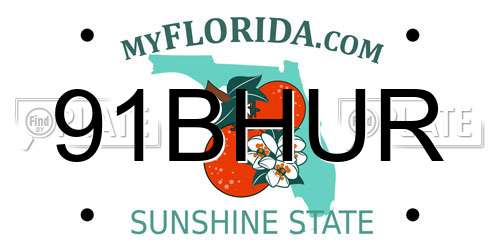91BHUR Florida License Plate