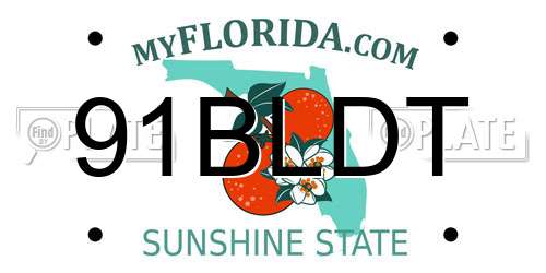 91BLDT Florida License Plate