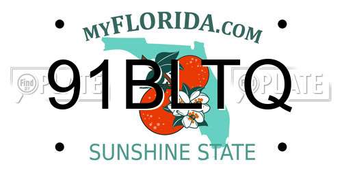 91BLTQ Florida License Plate
