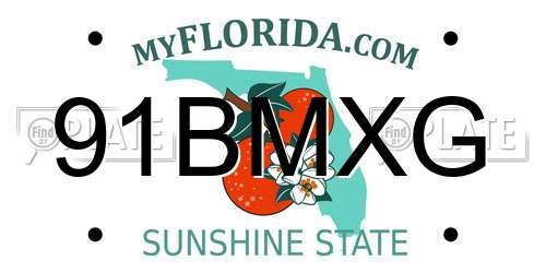 91BMXG Florida License Plate
