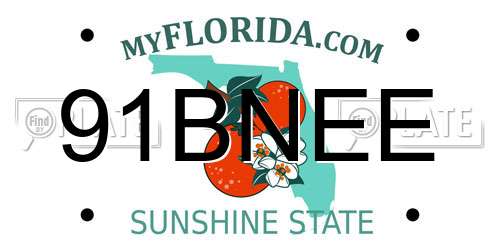 91BNEE Florida License Plate