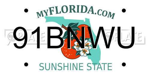91BNWU Florida License Plate