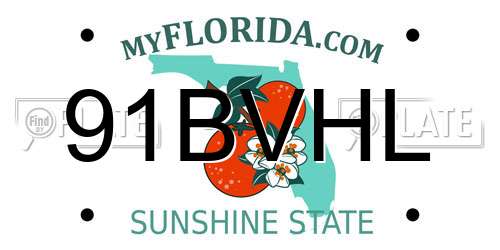 91BVHL Florida License Plate