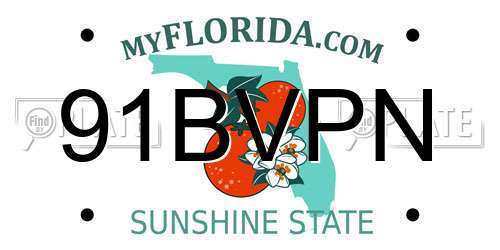 91BVPN Florida License Plate