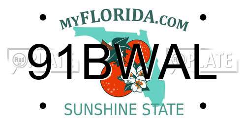91BWAL Florida License Plate