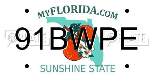 91BWPE Florida License Plate