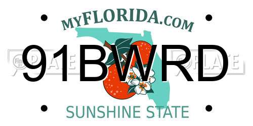 91BWRD Florida License Plate