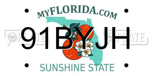 91BYJH Florida License Plate