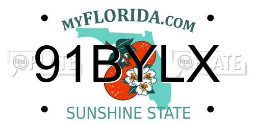 91BYLX Florida License Plate