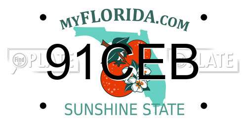 91CEB Florida License Plate