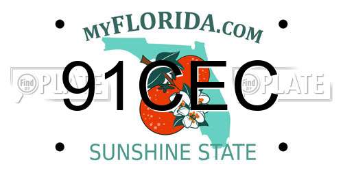 91CEC Florida License Plate