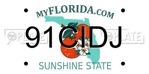 91CIDJ Florida License Plate