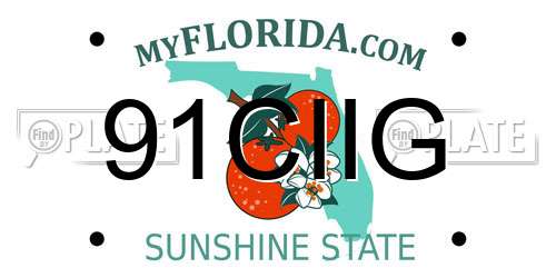 91CIIG Florida License Plate