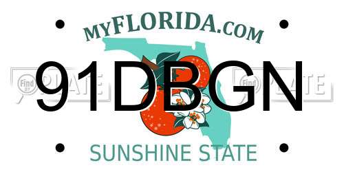 91DBGN Florida License Plate