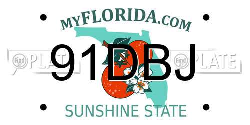 91DBJ Florida License Plate