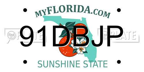 91DBJP Florida License Plate