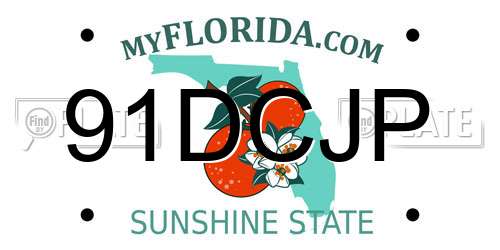 91DCJP Florida License Plate