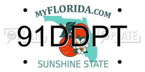 91DDPT Florida License Plate