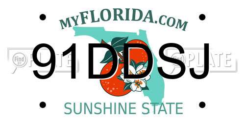 91DDSJ Florida License Plate