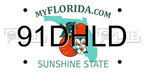 91DHLD Florida License Plate