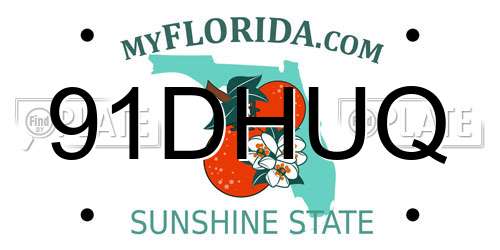 91DHUQ Florida License Plate