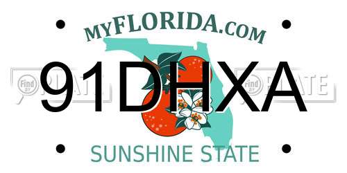 91DHXA Florida License Plate