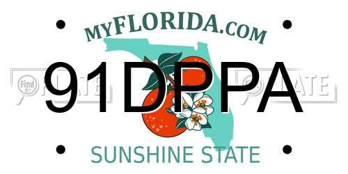 91DPPA Florida License Plate