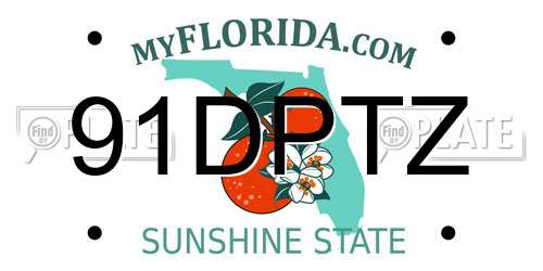91DPTZ Florida License Plate