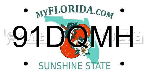 91DQMH Florida License Plate