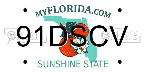 91DSCV Florida License Plate