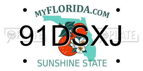 91DSXJ Florida License Plate