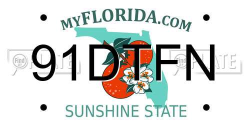 91DTFN Florida License Plate