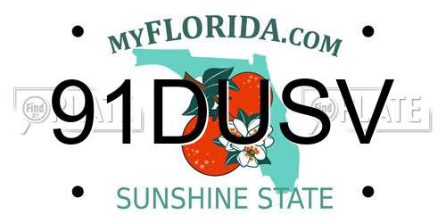 91DUSV Florida License Plate