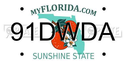 91DWDA Florida License Plate