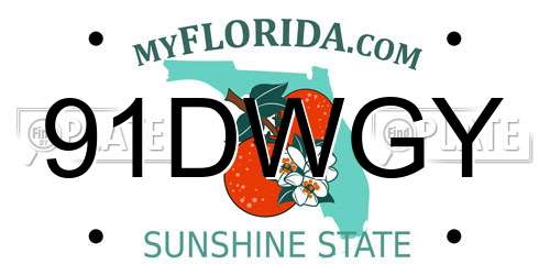 91DWGY Florida License Plate