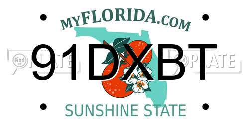 91DXBT Florida License Plate
