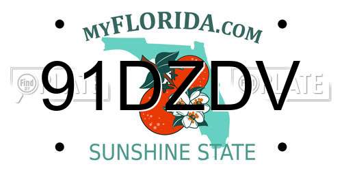 91DZDV Florida License Plate