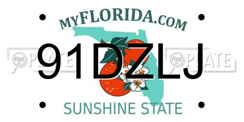 91DZLJ Florida License Plate