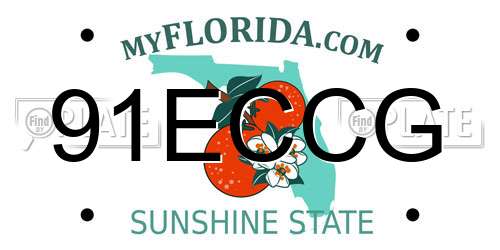 91ECCG Florida License Plate