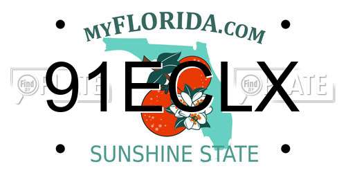 91ECLX Florida License Plate