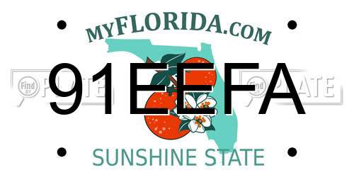 91EEFA Florida License Plate