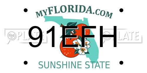 91EFH Florida License Plate
