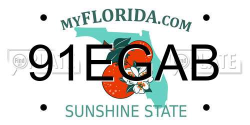91EGAB Florida License Plate