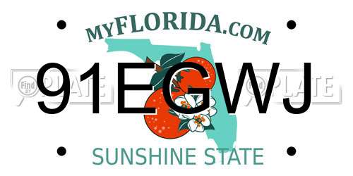 91EGWJ Florida License Plate