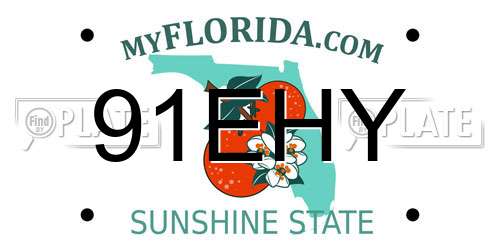 91EHY Florida License Plate