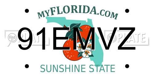 91EMVZ Florida License Plate