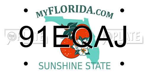 91EQAJ Florida License Plate