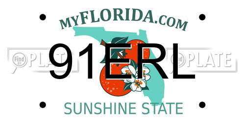 91ERL Florida License Plate